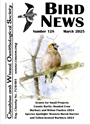 BN128 March 2025